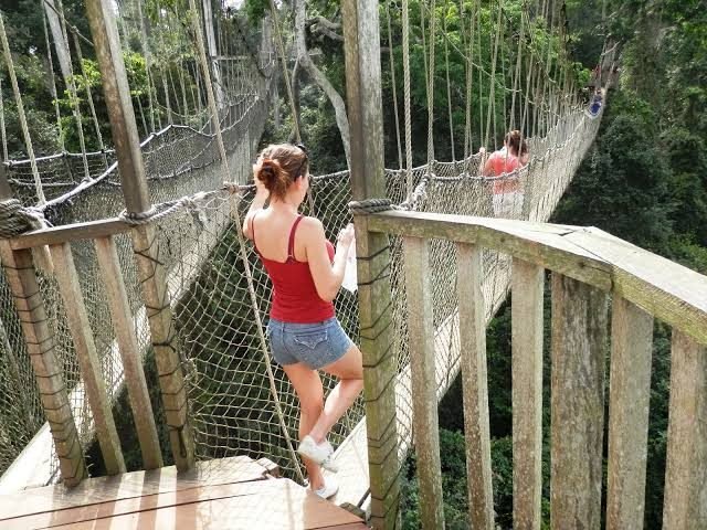 Kakum National Park — canopy walkway